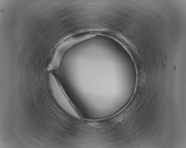 X0000083611169200703051536