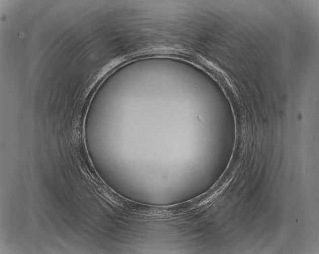 X0000083611170200703051536