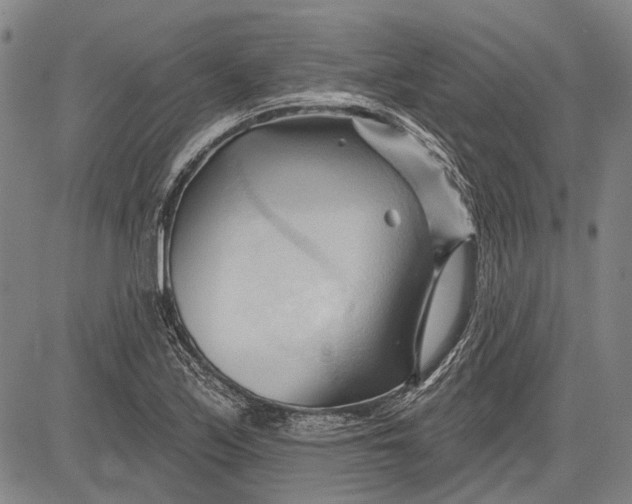 X0000083611171200703051536