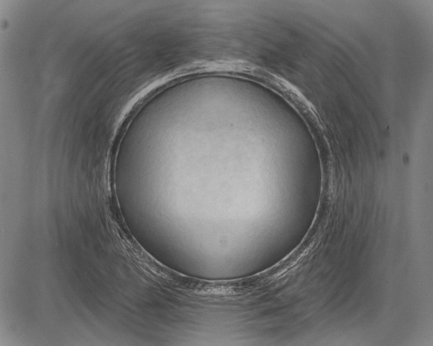 X0000083611174200703051536