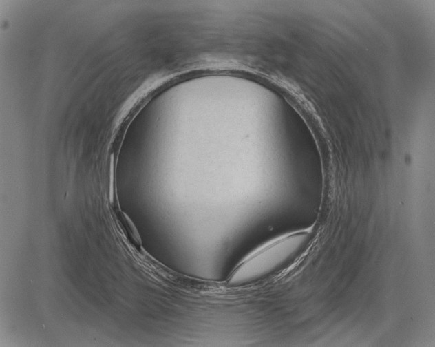 X0000083611175200703051536