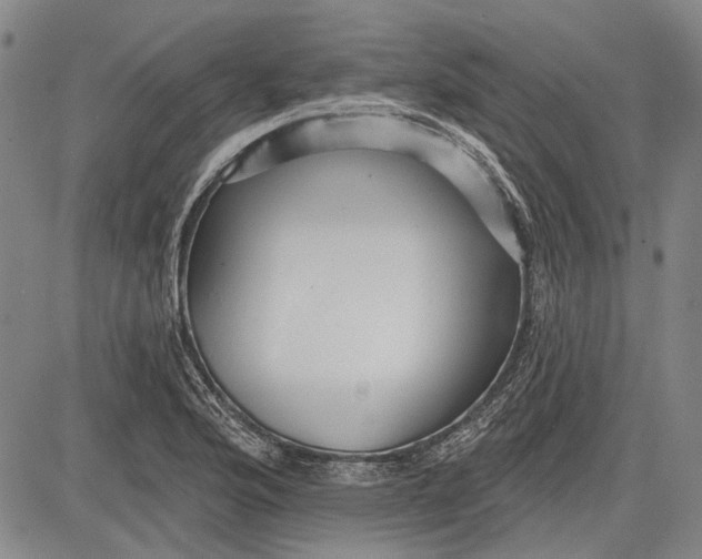 X0000083611176200703051536