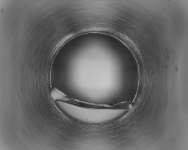 X0000083611177200703051536