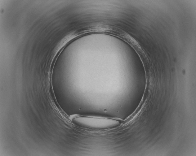 X0000083611178200703051536