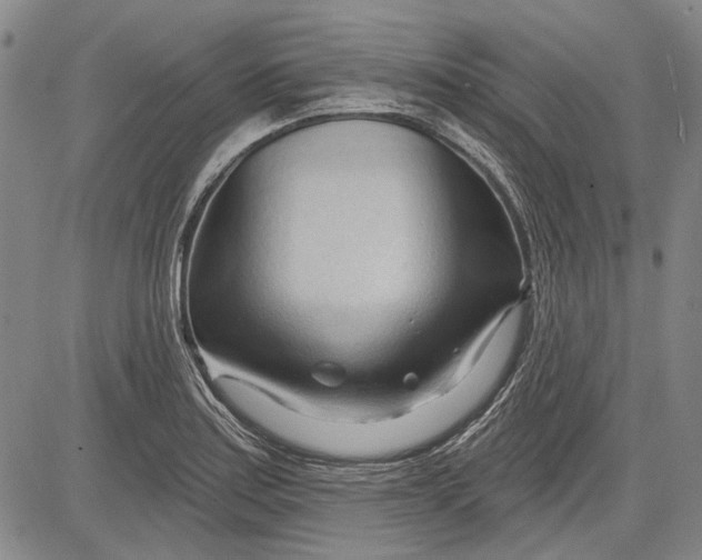 X0000083611179200703051536