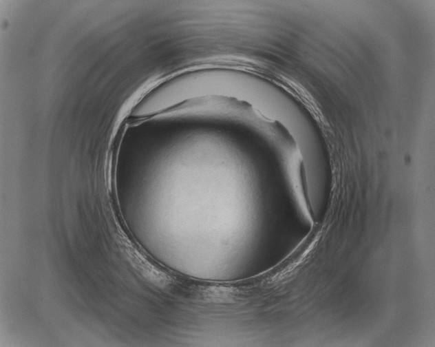 X0000083611180200703051536