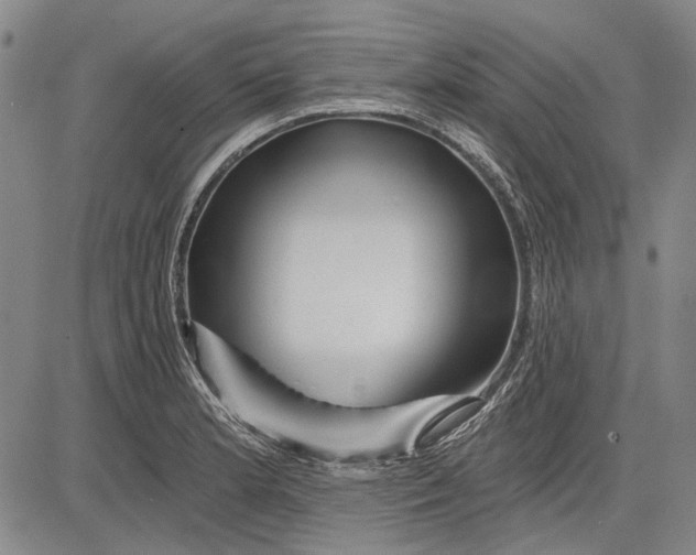 X0000083611181200703051535