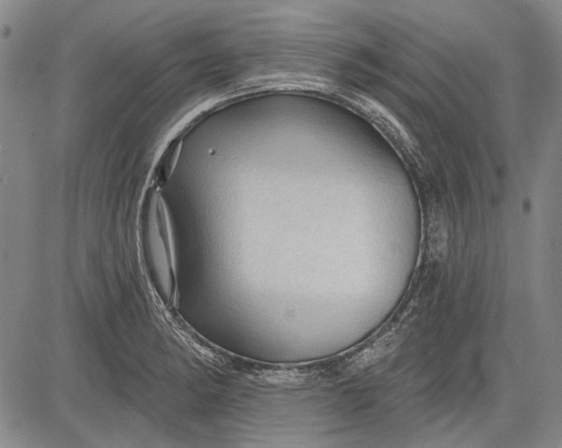 X0000083611182200703051535