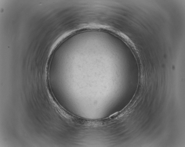 X0000083611183200703051535