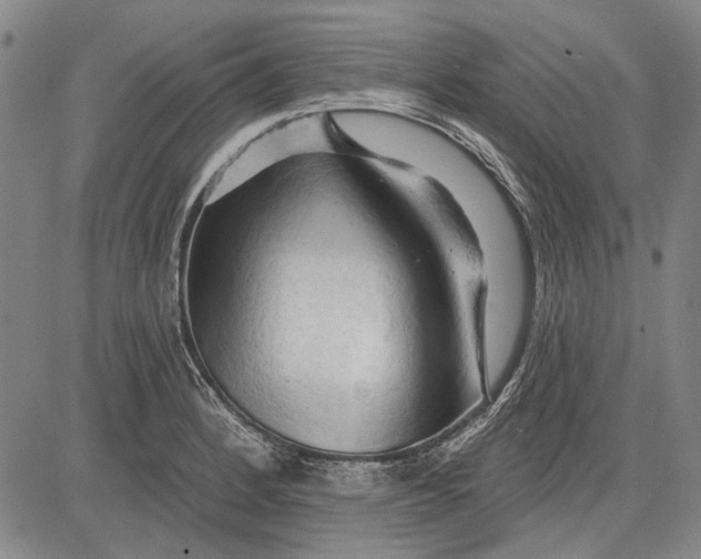 X0000083611184200703051535