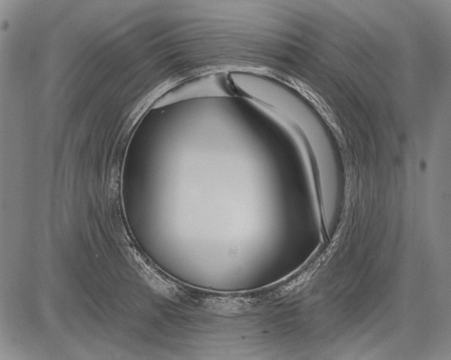 X0000083611185200703051535