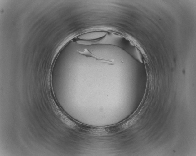 X0000083611186200703051535