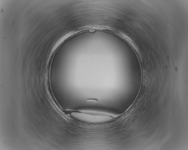 X0000083611187200703051535