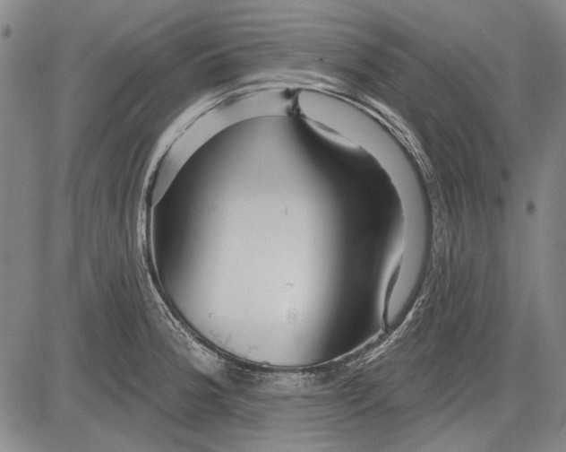 X0000083611188200703051535