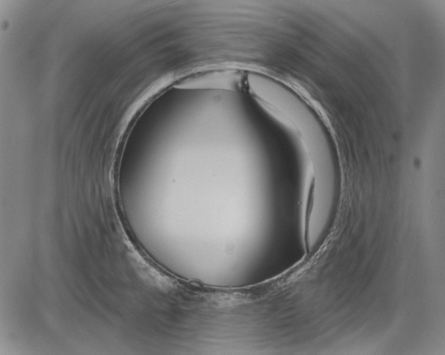 X0000083611189200703051535