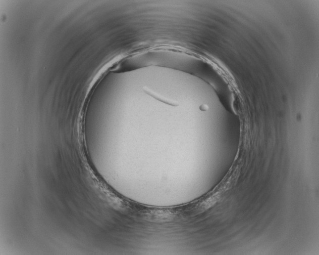 X0000083611190200703051535