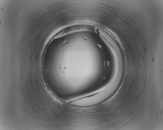 X0000083611192200703051535