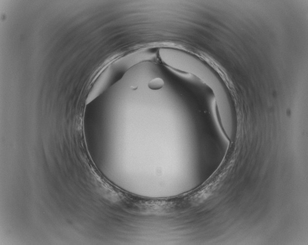 X0000083611193200703051535