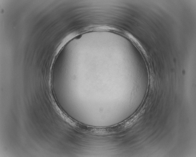 X0000083611194200703051535