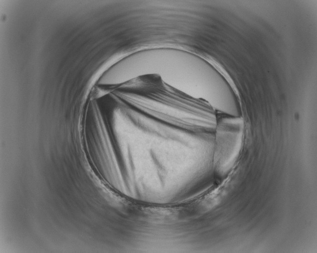 X0000083611197200703051535