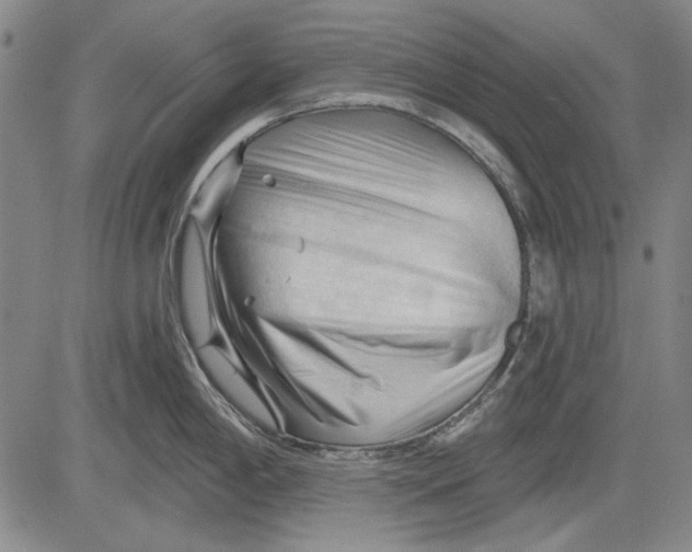 X0000083611198200703051535