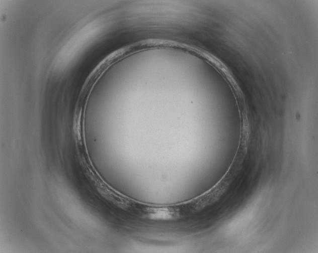 X0000083611199200703051535