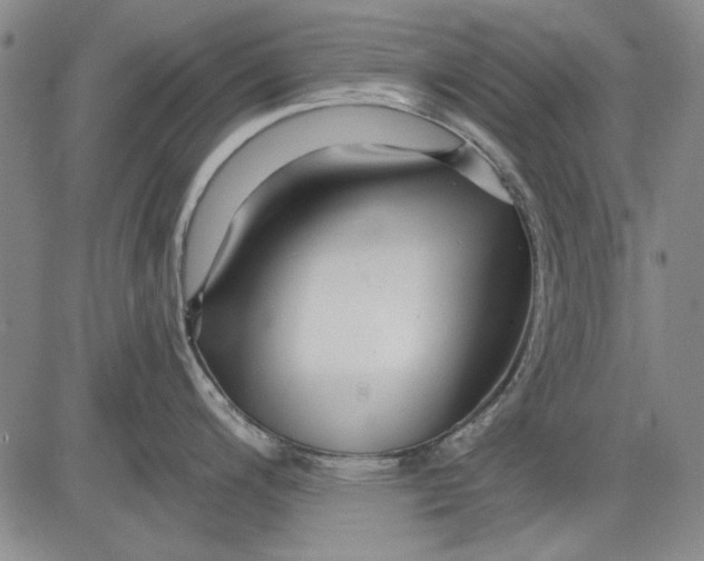 X0000083611200200703051535