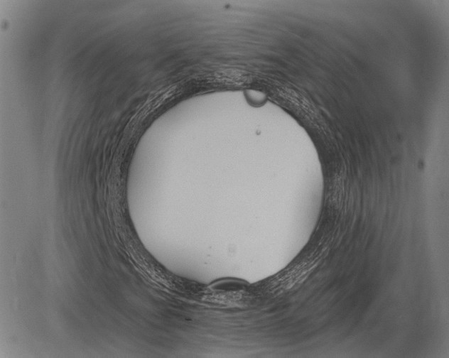 X0000083611201200703051534