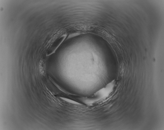 X0000083611202200703051534