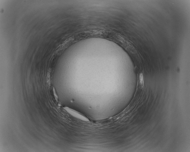 X0000083611203200703051534