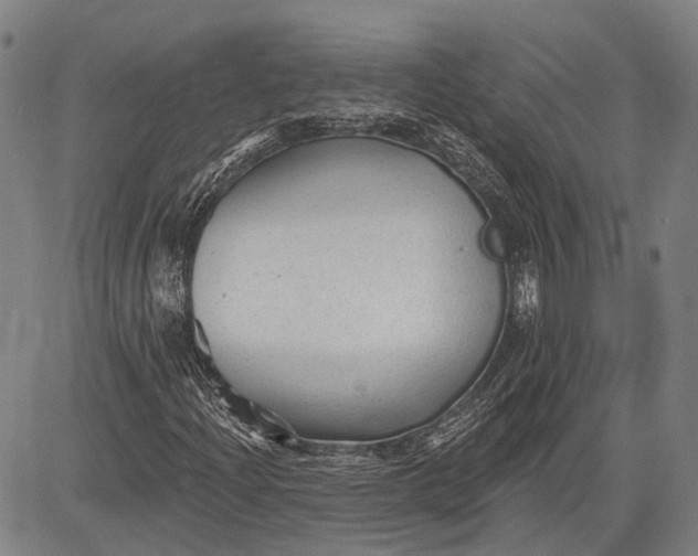 X0000083611204200703051534