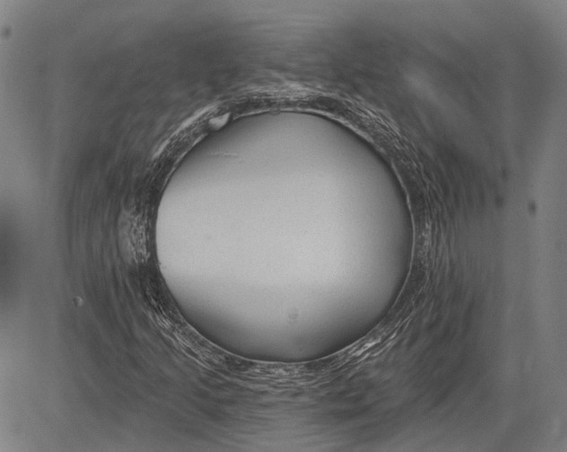 X0000083611205200703051534