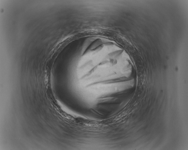 X0000083611206200703051534