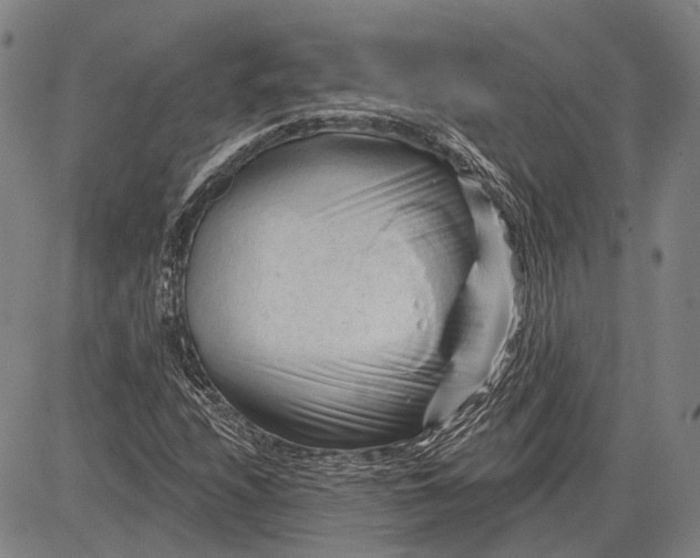 X0000083611208200703051534