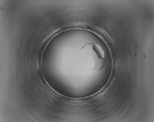 X0000083611209200703051535