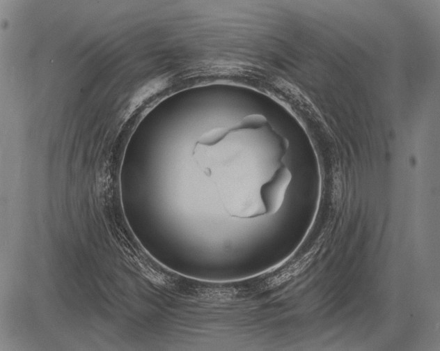 X0000083611210200703051535