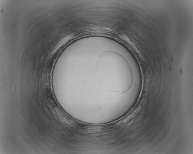 X0000083611211200703051535