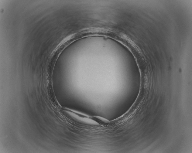 X0000083611213200703051535