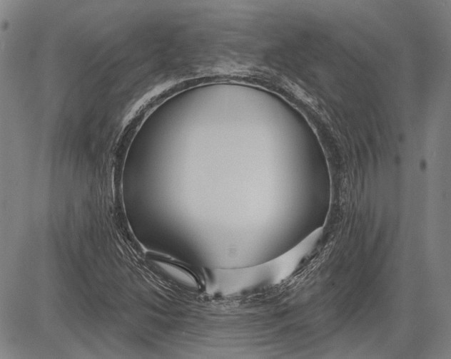 X0000083611214200703051535