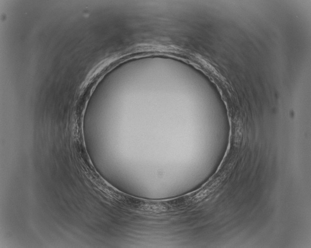 X0000083611215200703051535