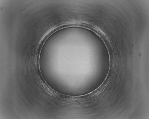 X0000083611216200703051535