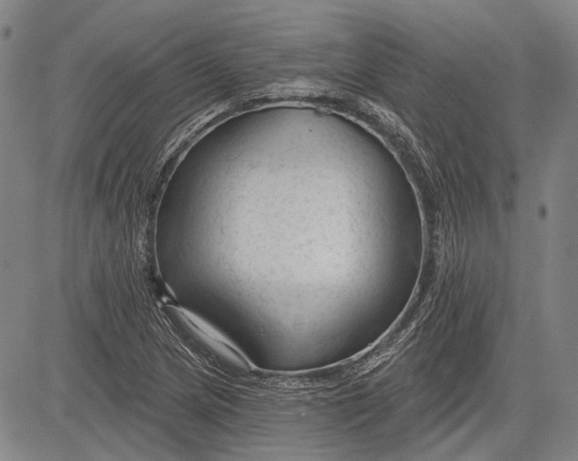 X0000083611217200703051535