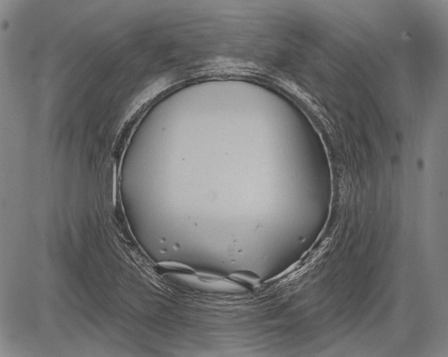 X0000083611219200703051535