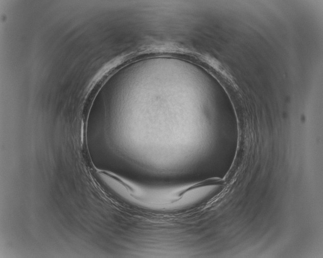 X0000083611221200703051535