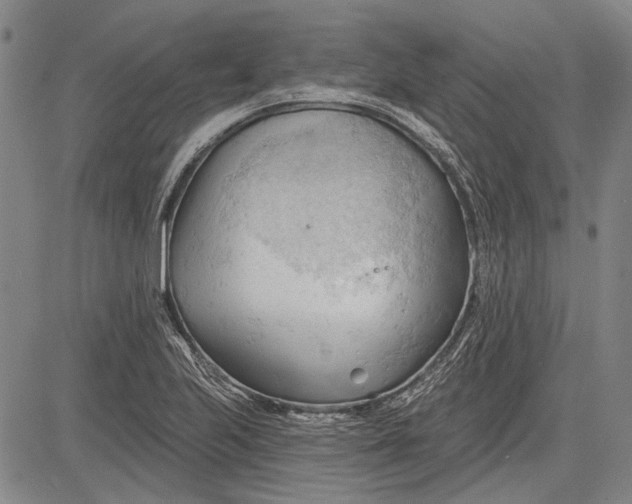 X0000083611223200703051535