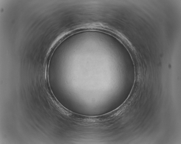 X0000083611224200703051535