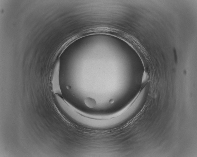 X0000083611225200703051535