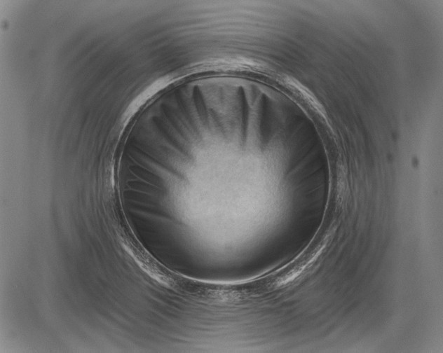 X0000083611226200703051535