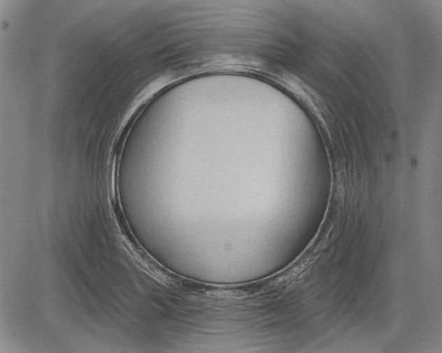 X0000083611227200703051535