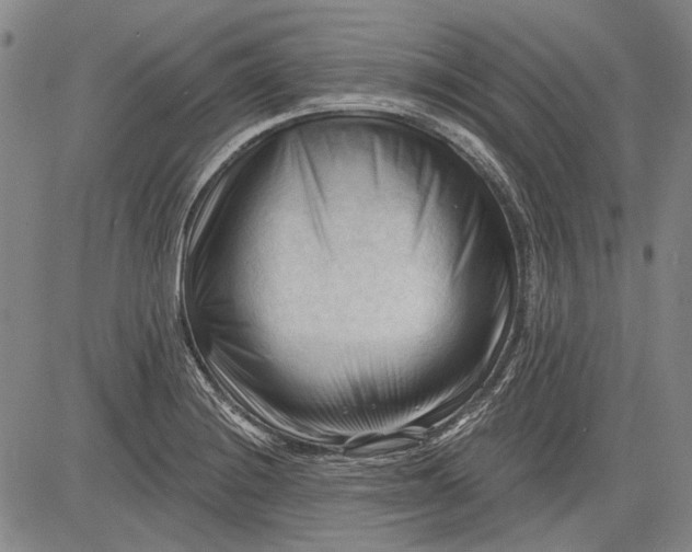 X0000083611228200703051535